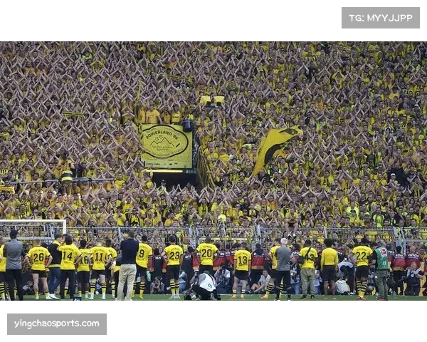 欧冠热潮带动草根足球发展,各地球迷组织观赛活动